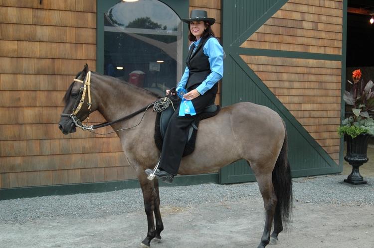 Doctor Ramsey with her horses